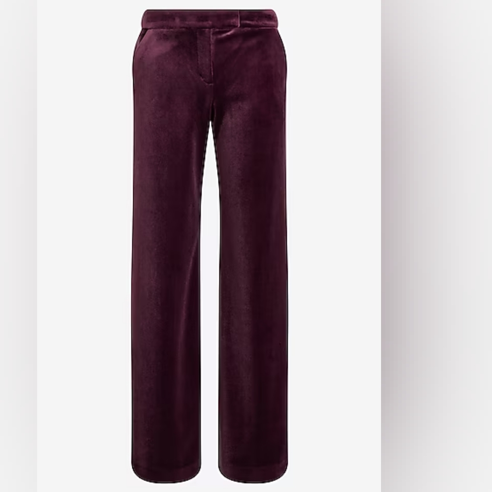 EXPRESS: Mid-Rise Velvet Relaxed Trousers - Picture 10 of 10